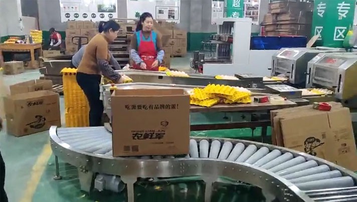 现场案例